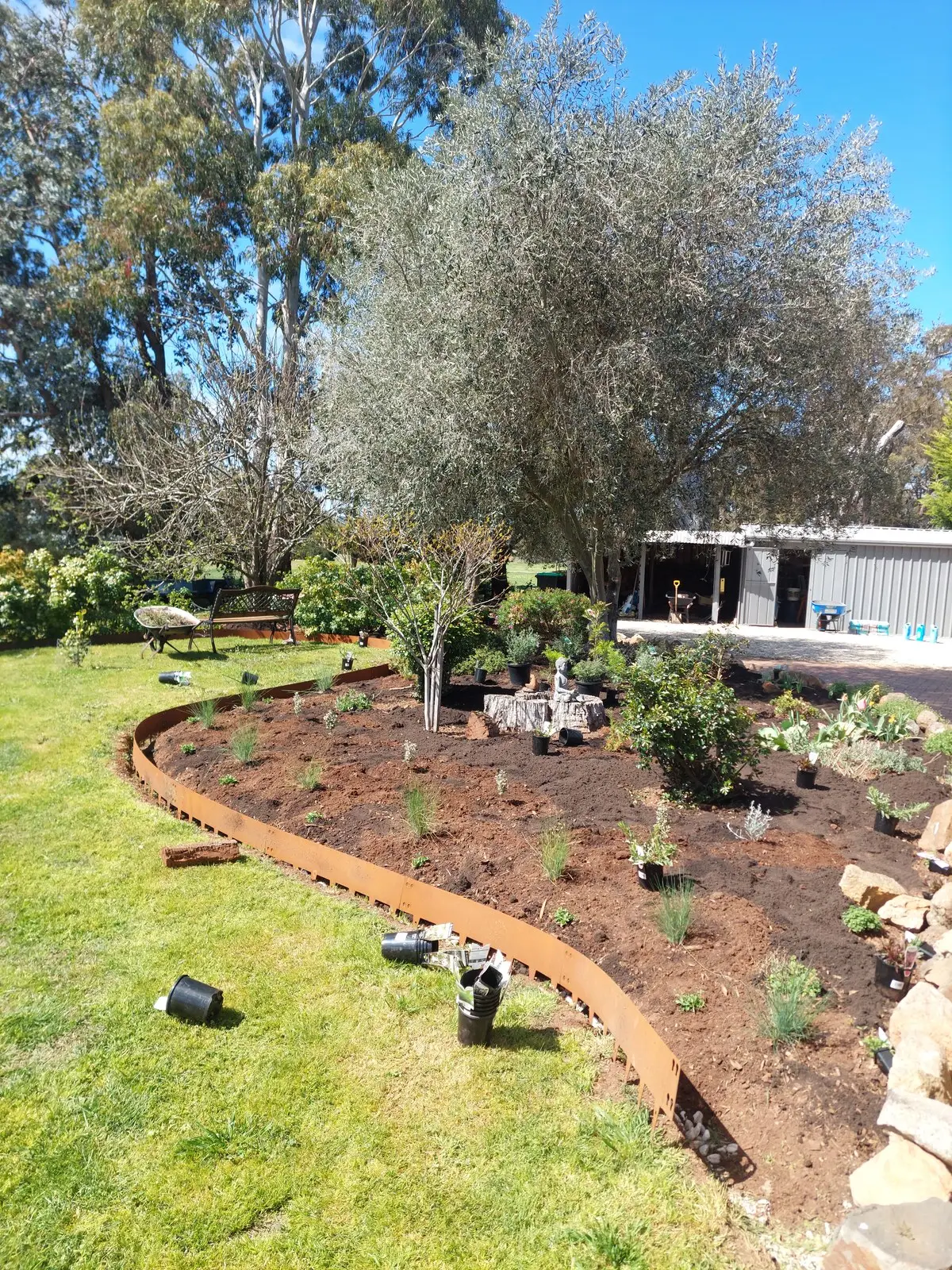 Native garden detail with drought-resistant Australian plants