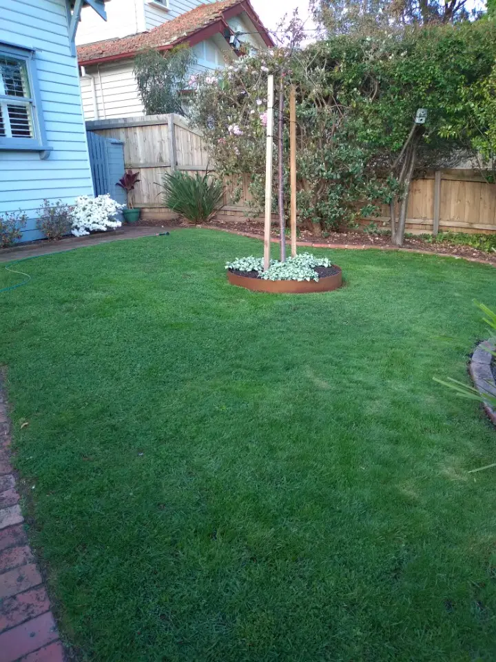 Landscaped Melbourne garden with structured planting