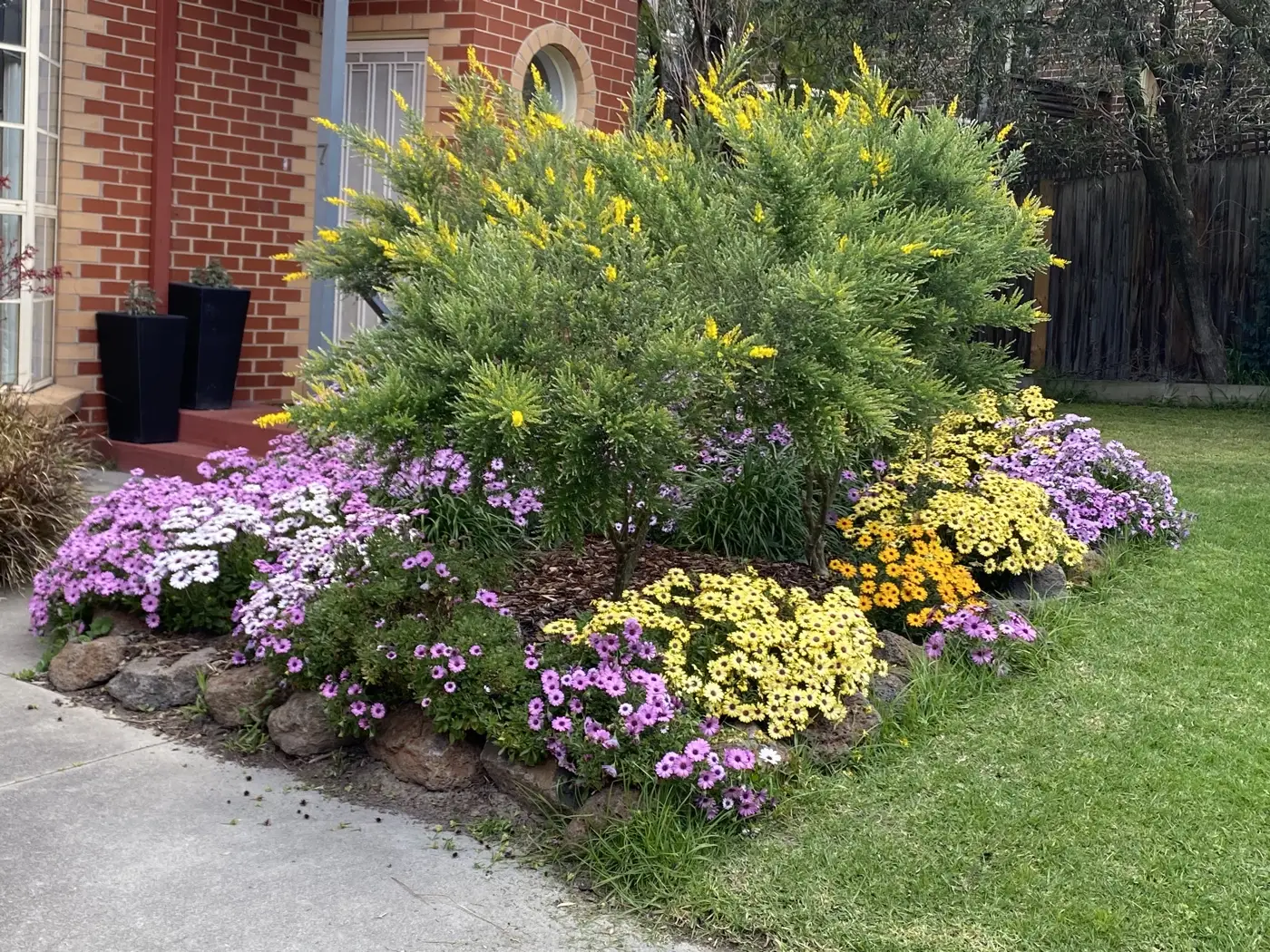 Paved garden pathway through native planting