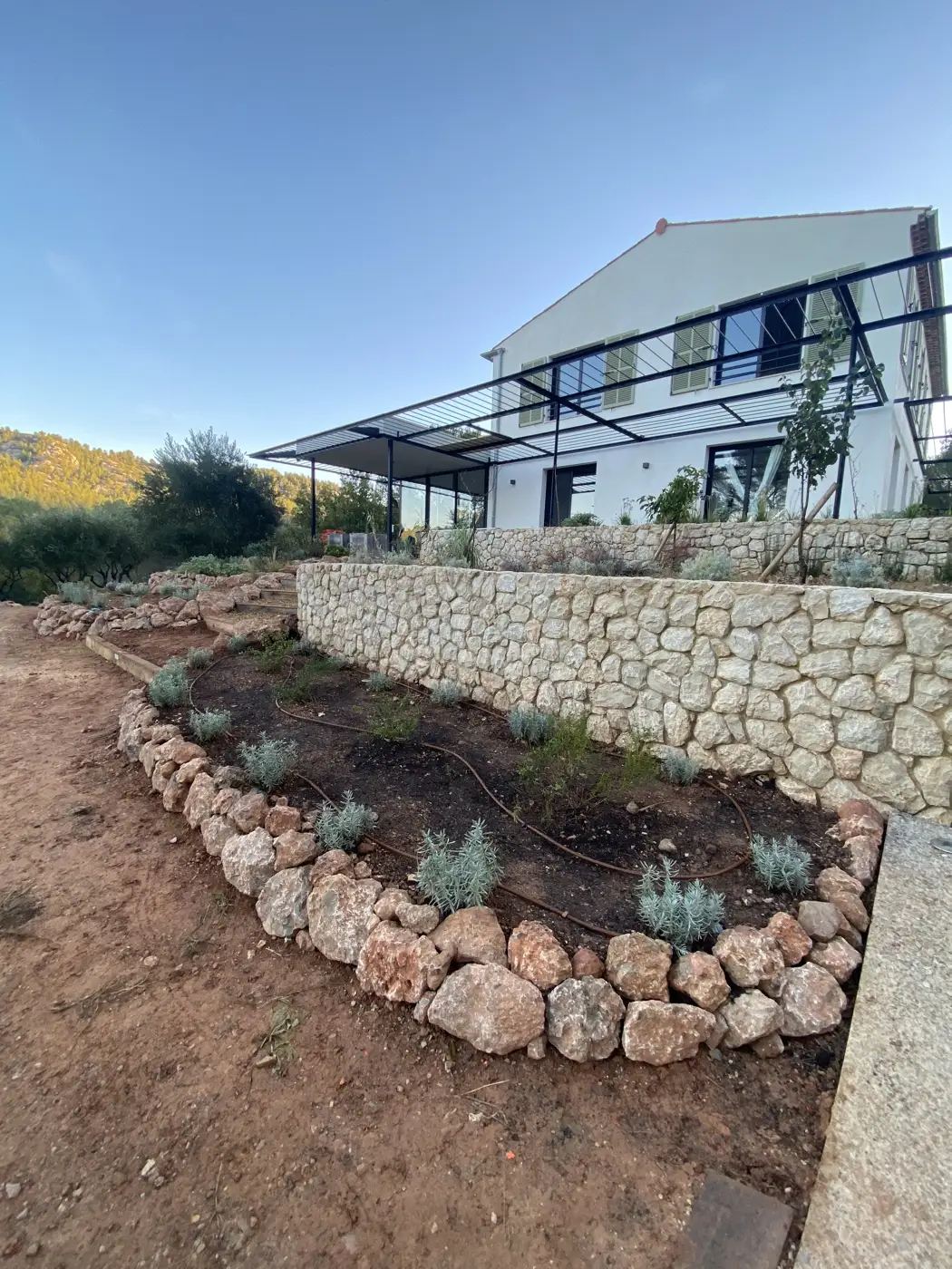 Refreshed garden bed with new plants