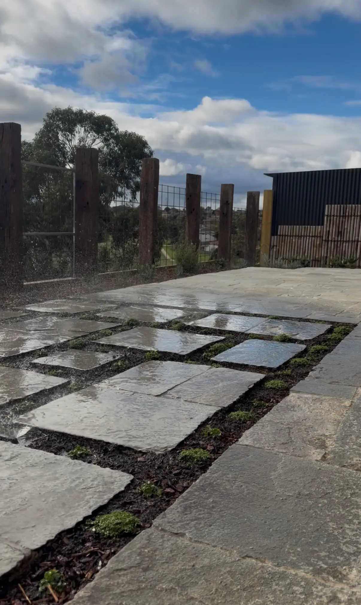 Maintained residential garden and lawn